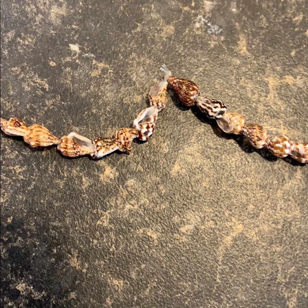 Shell necklace - Picture 4 of 5